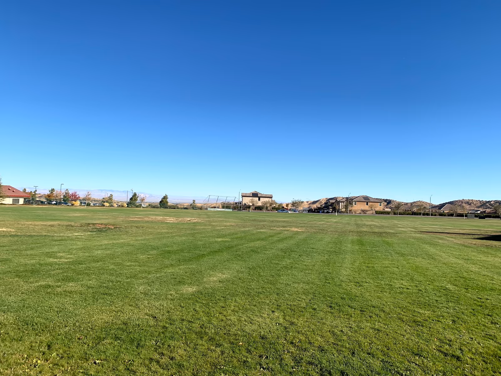A wide open green grassy field under a clear blue sky with a few houses and trees in the distance.