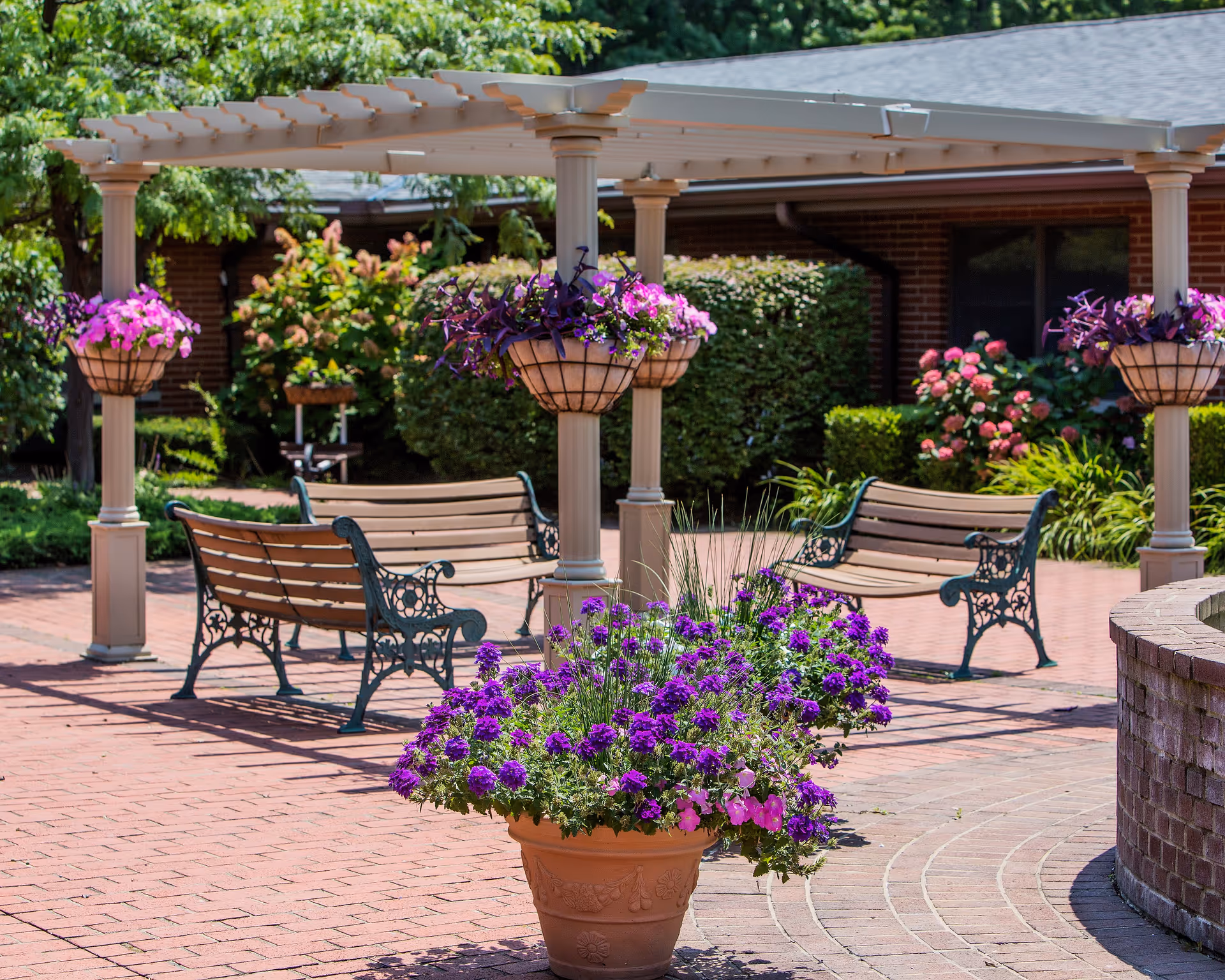 Outdoor seating area with wooden benches and decorative metal armrests under a pergola with hanging baskets of purple flowers. There are additional flower pots with vibrant purple flowers and lush green bushes and trees in the background.