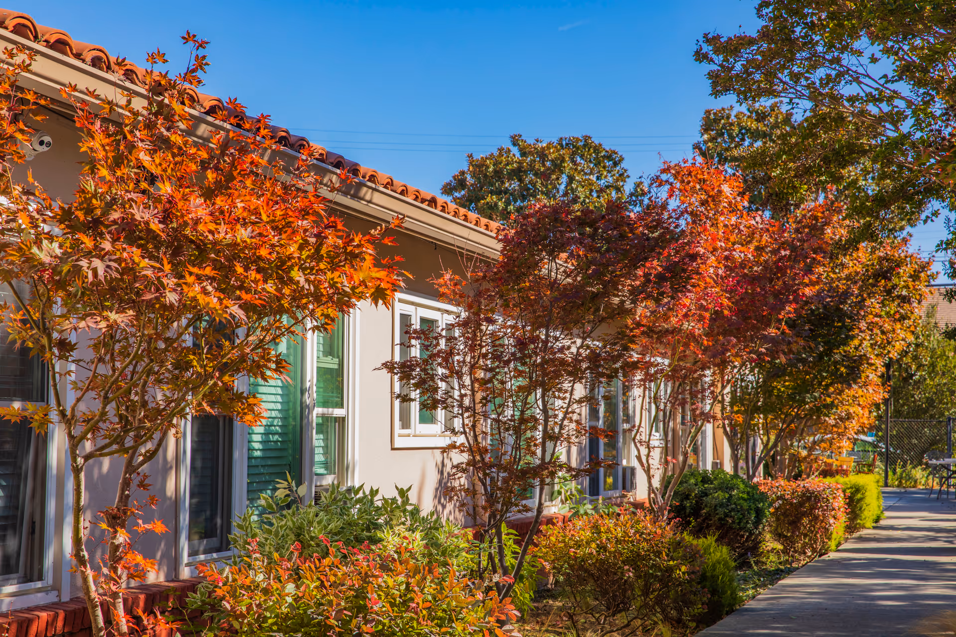 Sunlit exterior of a single-story building with fall-colored trees and shrubs lining a sidewalk.