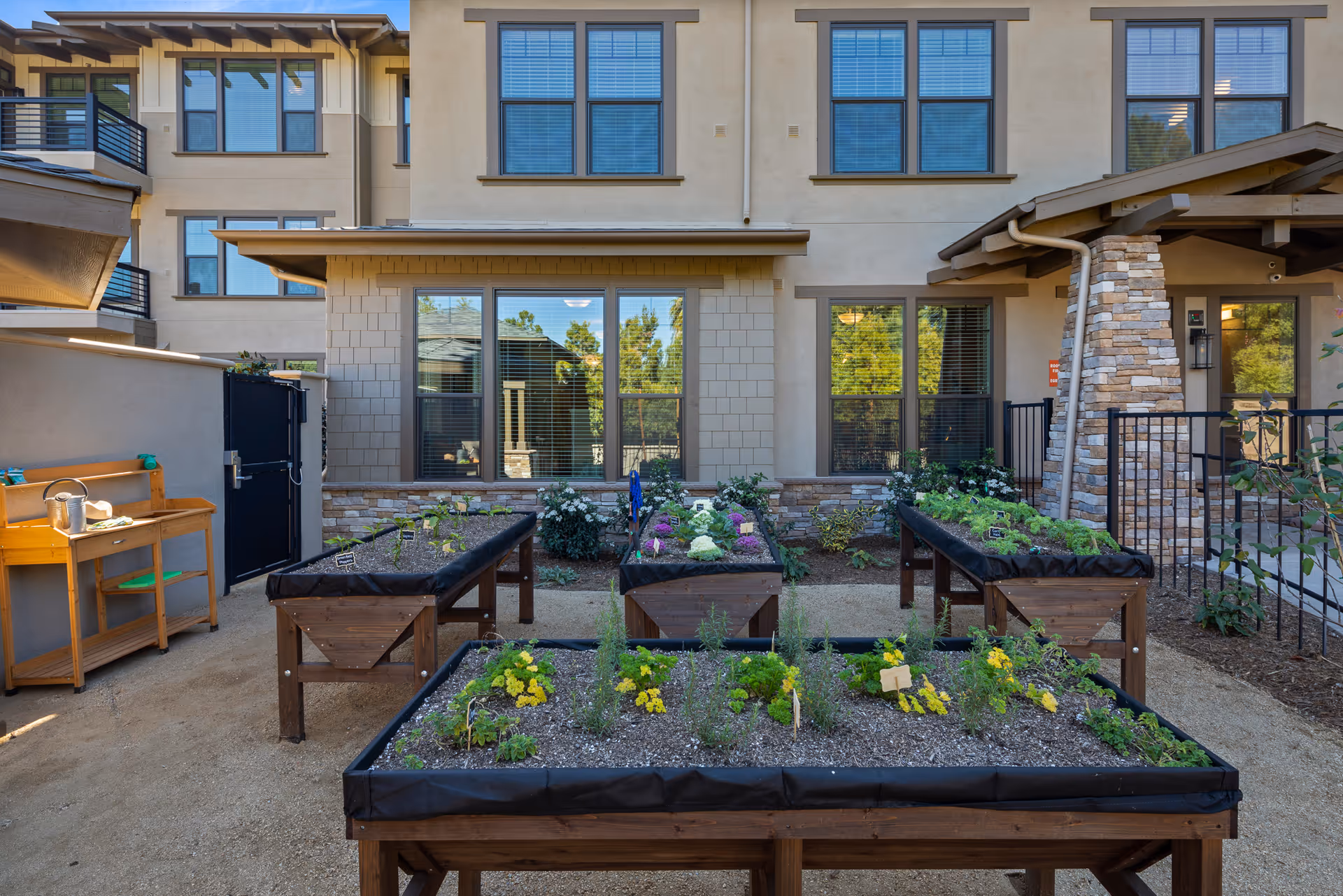 Raised wooden garden beds with flowers and herbs in a courtyard outside a multi-story senior living building.