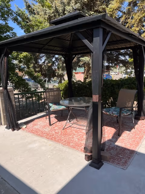 Black gazebo on a concrete patio with a round glass table, two chairs on a red rug and trees in the background.