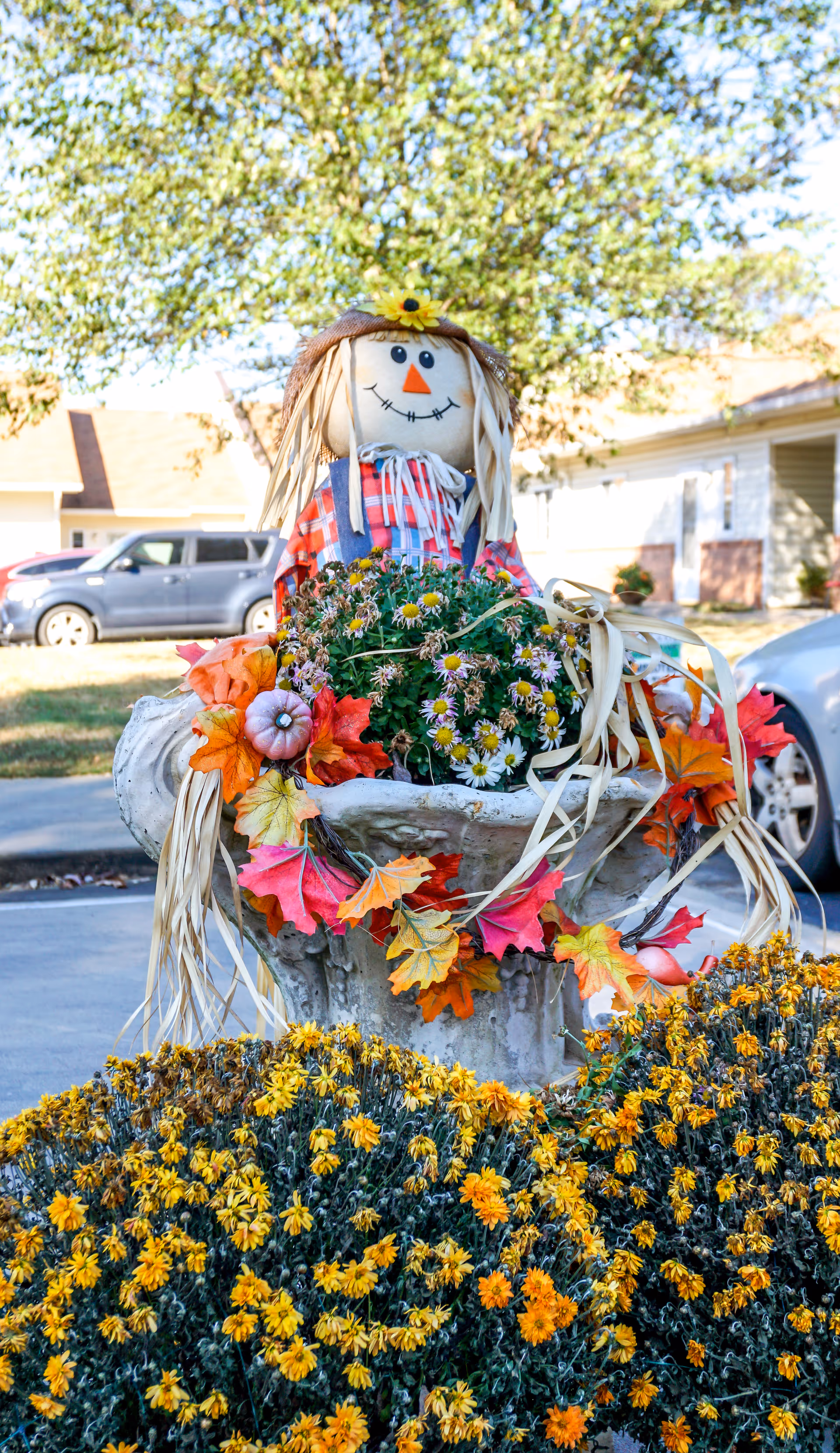 A cheerful scarecrow decoration in a planter surrounded by fall flowers and foliage in front of a residential building.