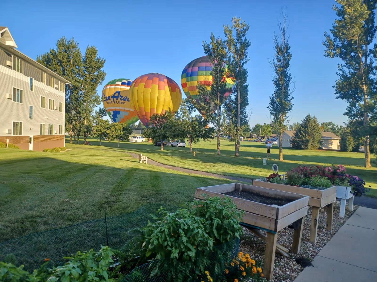View of a grassy outdoor area with several tall trees and three colorful hot air balloons in the sky. On the left side, there is a multi-story building with beige siding and multiple windows. In the foreground, there are raised garden beds with plants and flowers next to a paved walkway.