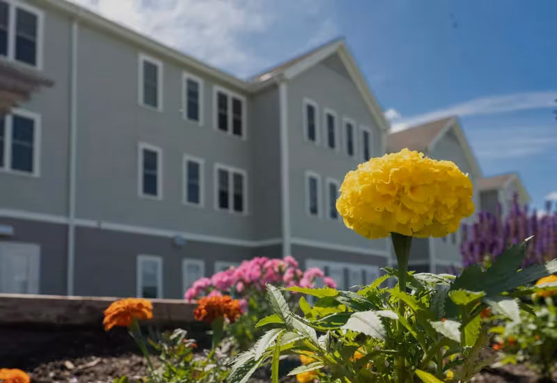 Close-up of colorful flowers including a prominent yellow marigold in the foreground with a multi-story residential building in the background under a partly cloudy sky.