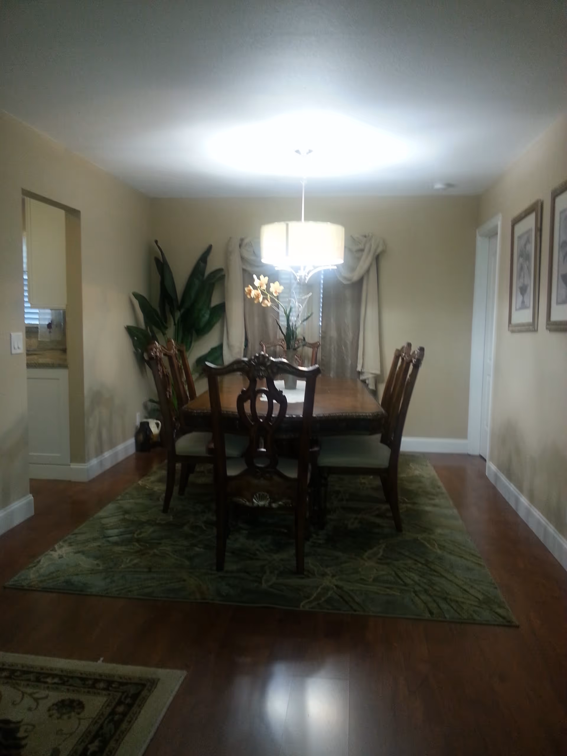 A dining room with a wooden dining table and six chairs placed on a green patterned rug. There is a hanging light fixture above the table, a large plant in the corner, and framed artwork on the right wall. The room has beige walls and wooden flooring.
