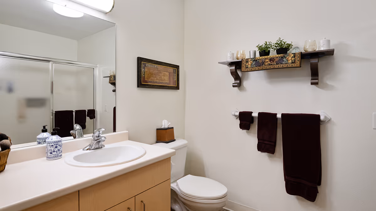 A clean bathroom with a white sink and countertop, a large mirror above the sink, a toilet with a tissue box on top, a towel rack holding two dark-colored towels, a decorative shelf with small plants and candles, and a framed picture on the wall.