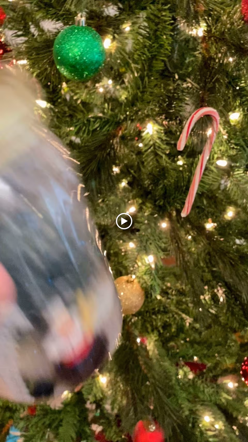 Close-up view of a decorated Christmas tree with a green glittery ornament, a candy cane, and a gold ornament, all illuminated by small white lights.