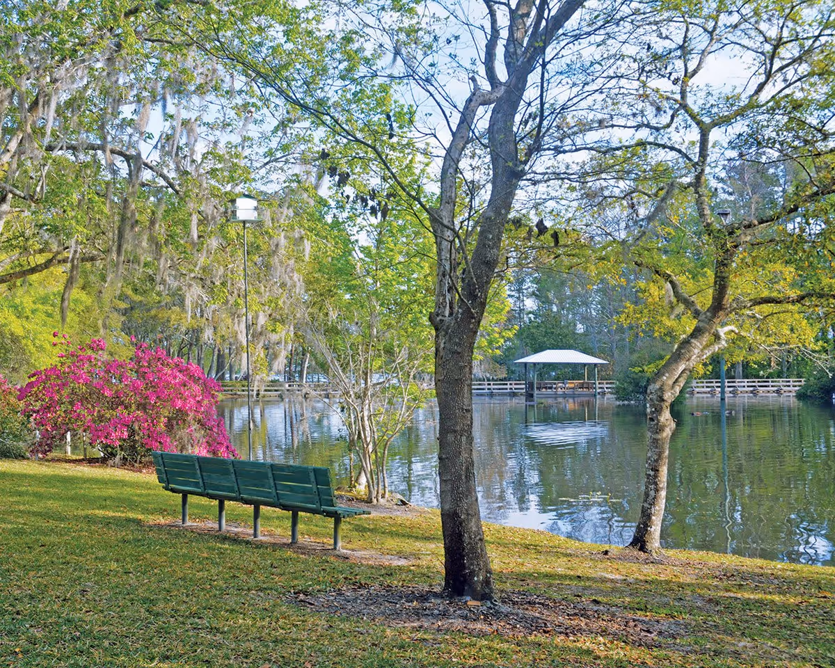 A peaceful outdoor scene at Westminster Woods on Julington Creek featuring a green bench on a grassy area near a calm pond. Trees with green and yellow leaves surround the pond, and a small pavilion with a white roof is visible across the water. Bright pink flowers bloom near the bench, and the sky is clear and blue.