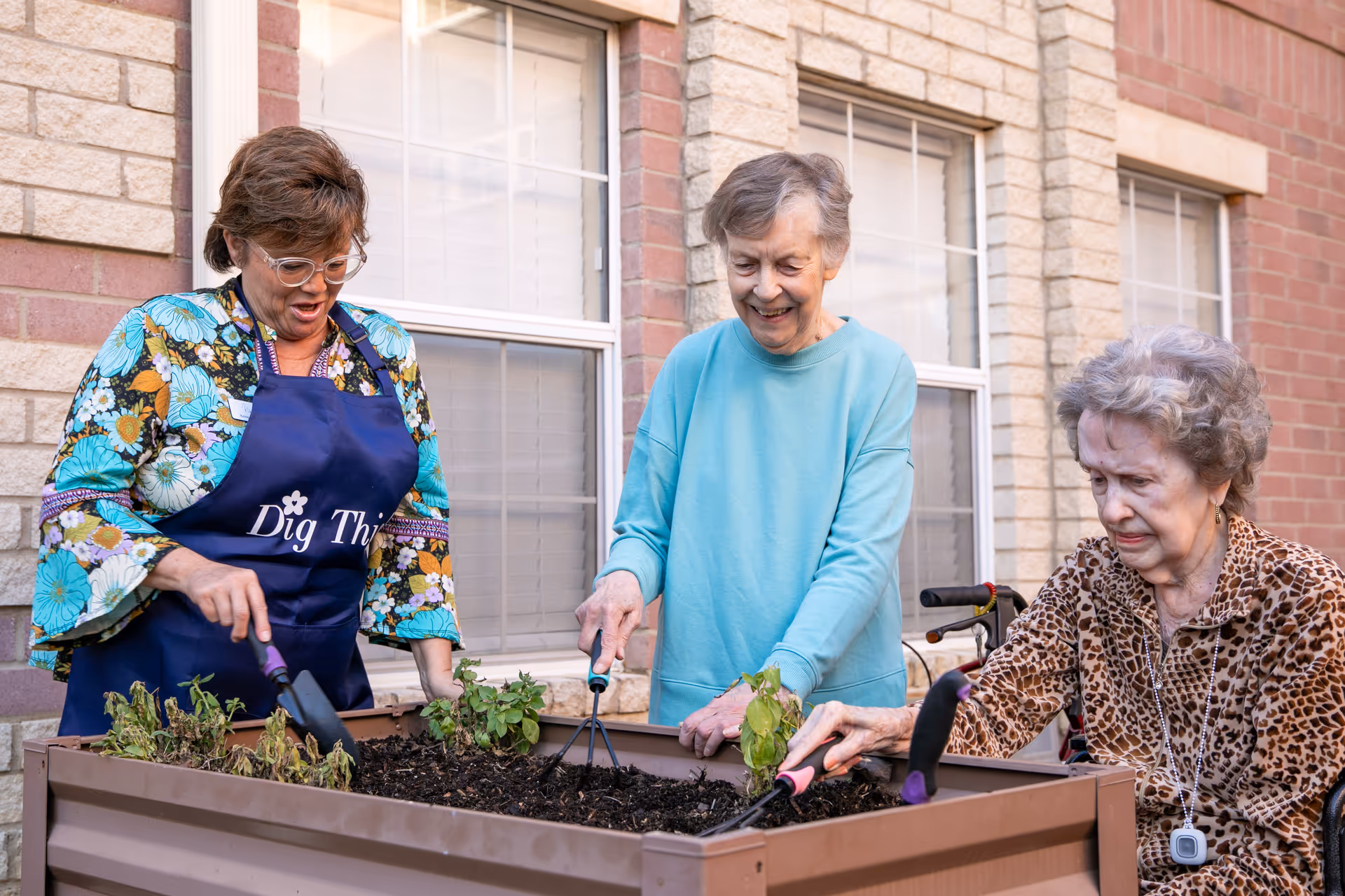 Three elderly women gardening together outdoors in front of a brick building. Two women are using small gardening tools to tend to plants in a raised garden bed, while the third woman watches and smiles. One woman is wearing a floral shirt and a blue apron, another is in a light blue sweatshirt, and the third is in a leopard print top with a medical alert necklace.