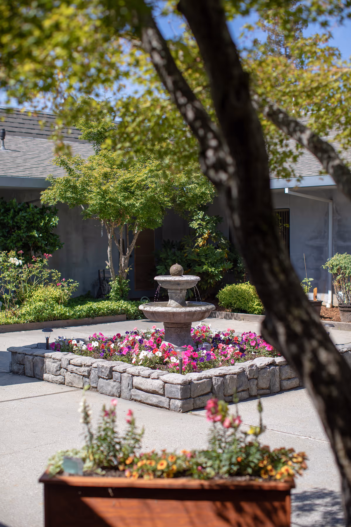 A courtyard garden area featuring a stone water fountain surrounded by a raised flower bed with colorful flowers. Trees and shrubs provide greenery around the courtyard, and a building with a gray exterior is visible in the background.