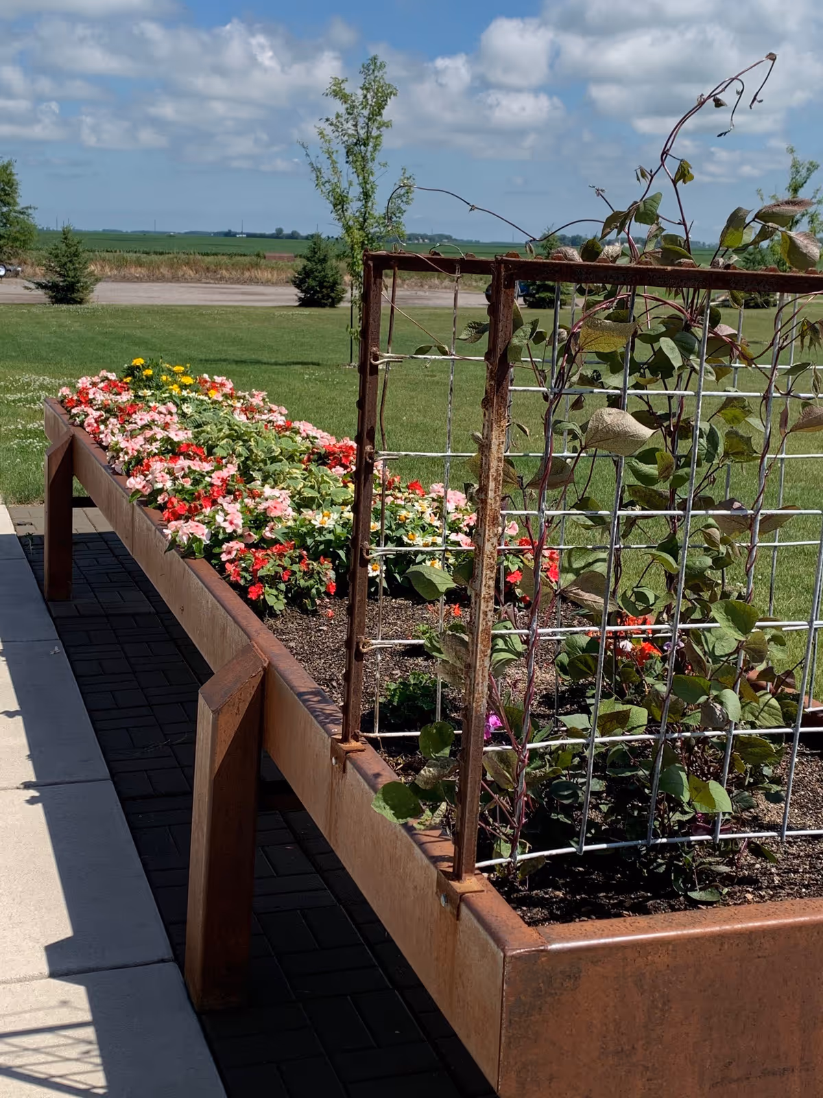 Raised garden bed with colorful flowers and climbing plants supported by a metal trellis, situated outdoors on a paved area with grass and trees in the background under a partly cloudy sky.