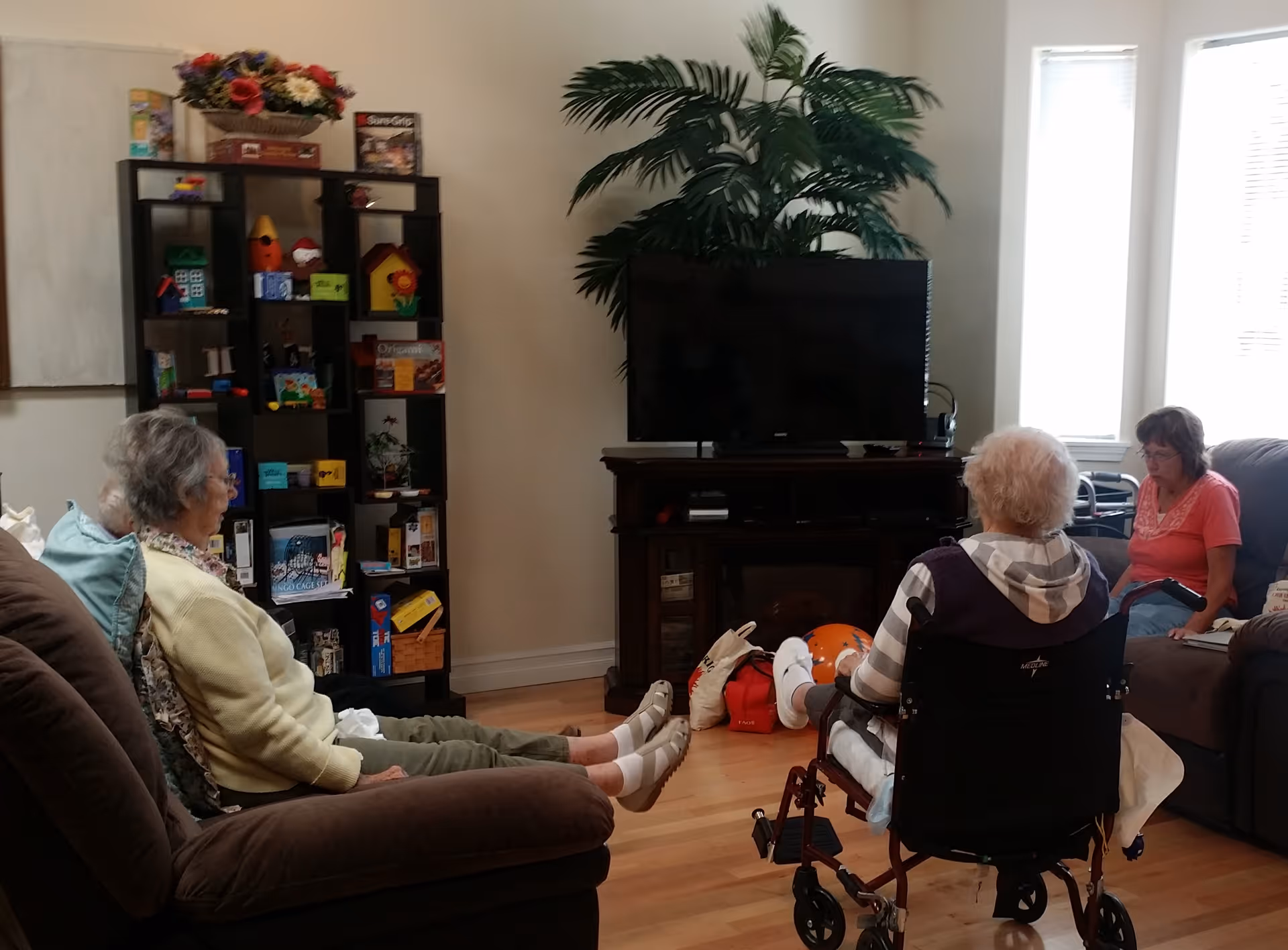 Three elderly residents sit in a communal living room area facing a television with shelving and a large potted plant behind it.