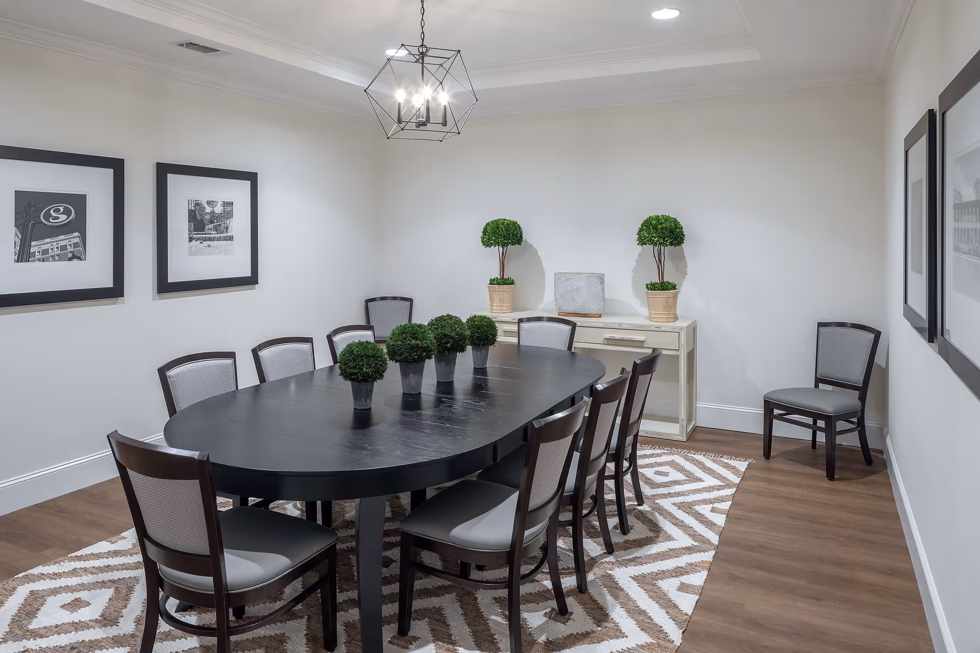 A modern dining room with a long black oval table surrounded by eight chairs with light gray cushions. The table is decorated with five small potted green plants. The room has light-colored walls with two black and white framed pictures on one wall and a white console table against the back wall with two larger potted plants and a decorative item. A geometric pendant light hangs from the ceiling, and a patterned rug covers part of the wooden floor.