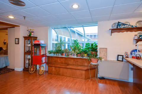 Interior view of a room with wooden flooring and a large window with a curved glass awning. There are several potted plants on a wooden bench under the window. To the left, there is a vintage-style red popcorn machine and a wooden cabinet with glass doors. On the right side, part of a countertop and shelves with decorative items are visible.