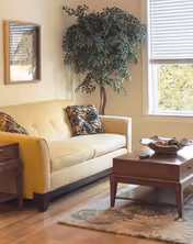 A cozy living room with a beige sofa adorned with patterned cushions, a wooden coffee table with decorative items, a large leafy plant in the corner, a framed picture on the wall, and a window with white blinds letting in natural light.