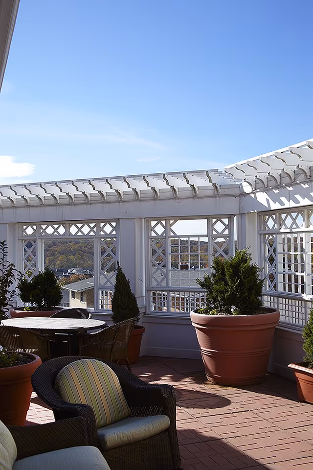 Sunlit rooftop patio with wicker seating, large potted plants, and a white lattice pergola overlooking trees.