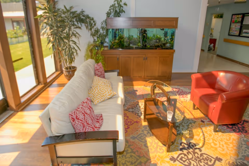 A bright living room area with a white sofa adorned with red and yellow patterned pillows, a red armchair, a glass coffee table on a colorful patterned rug, a large wooden aquarium cabinet with plants inside, and large windows letting in natural light. There are also potted plants near the windows and a hallway visible in the background.