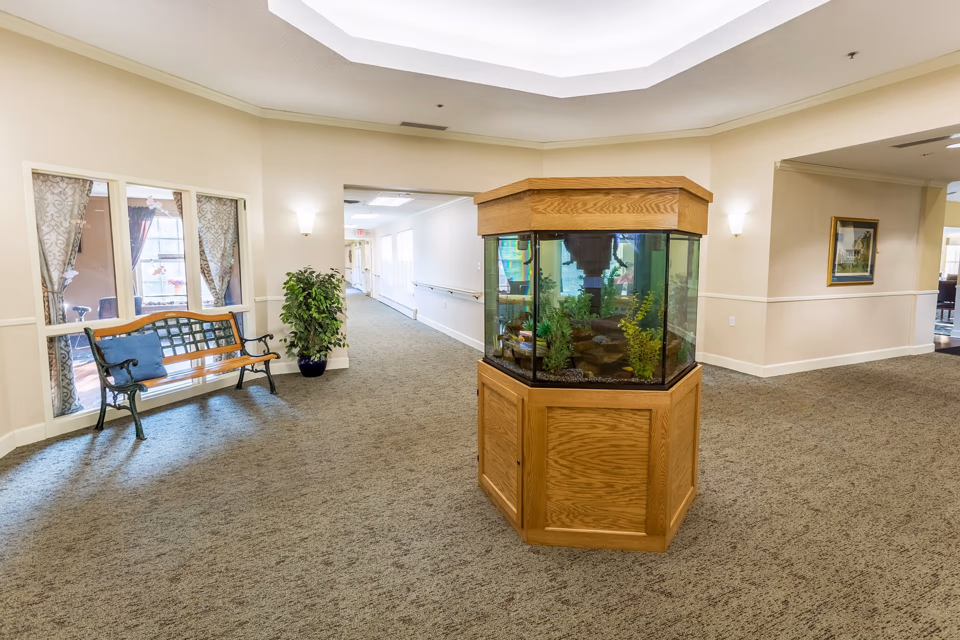 Interior hallway of a senior living facility with beige walls and carpeted floor. A large wooden-framed fish tank is centered in the hallway. To the left, there is a wooden bench with a blue cushion and a potted plant beside it. The hallway extends into the distance with handrails along the walls and a skylight above providing natural light.