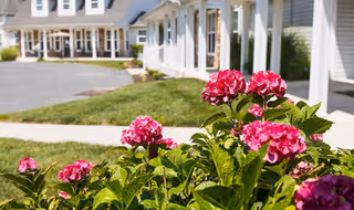 Close-up of vibrant pink flowers with green leaves in the foreground and a white senior living facility building with a porch and multiple windows in the background under a clear sky.