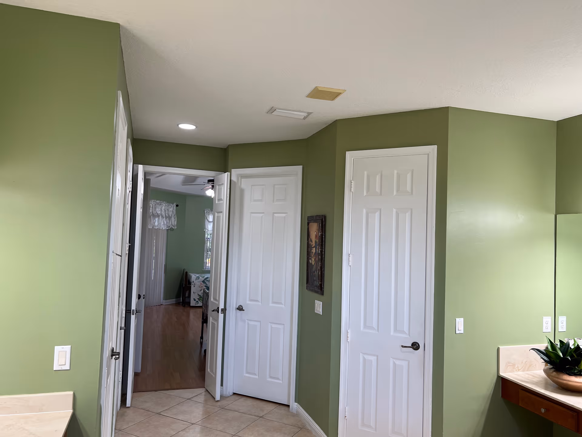 Interior view of a room with green walls, three white doors, tile floor and a countertop with a potted plant.