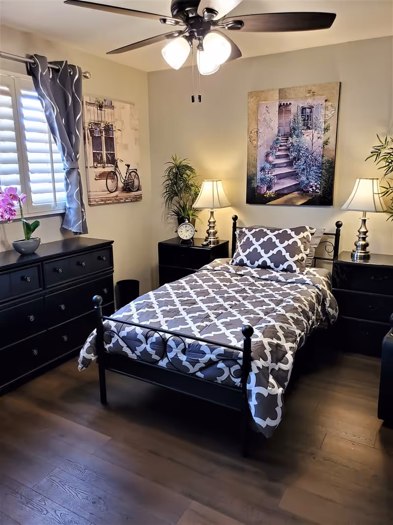 Well-lit single bedroom featuring a patterned twin bed with a black metal frame, matching black dressers and nightstands, lamps, wall art, and a ceiling fan.