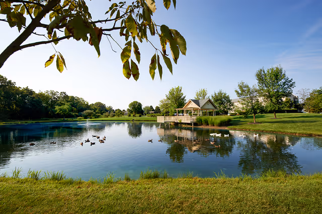 A peaceful pond surrounded by green grass and trees under a clear blue sky. Ducks are swimming on the water, and a small pavilion with a peaked roof is visible on the far side of the pond.