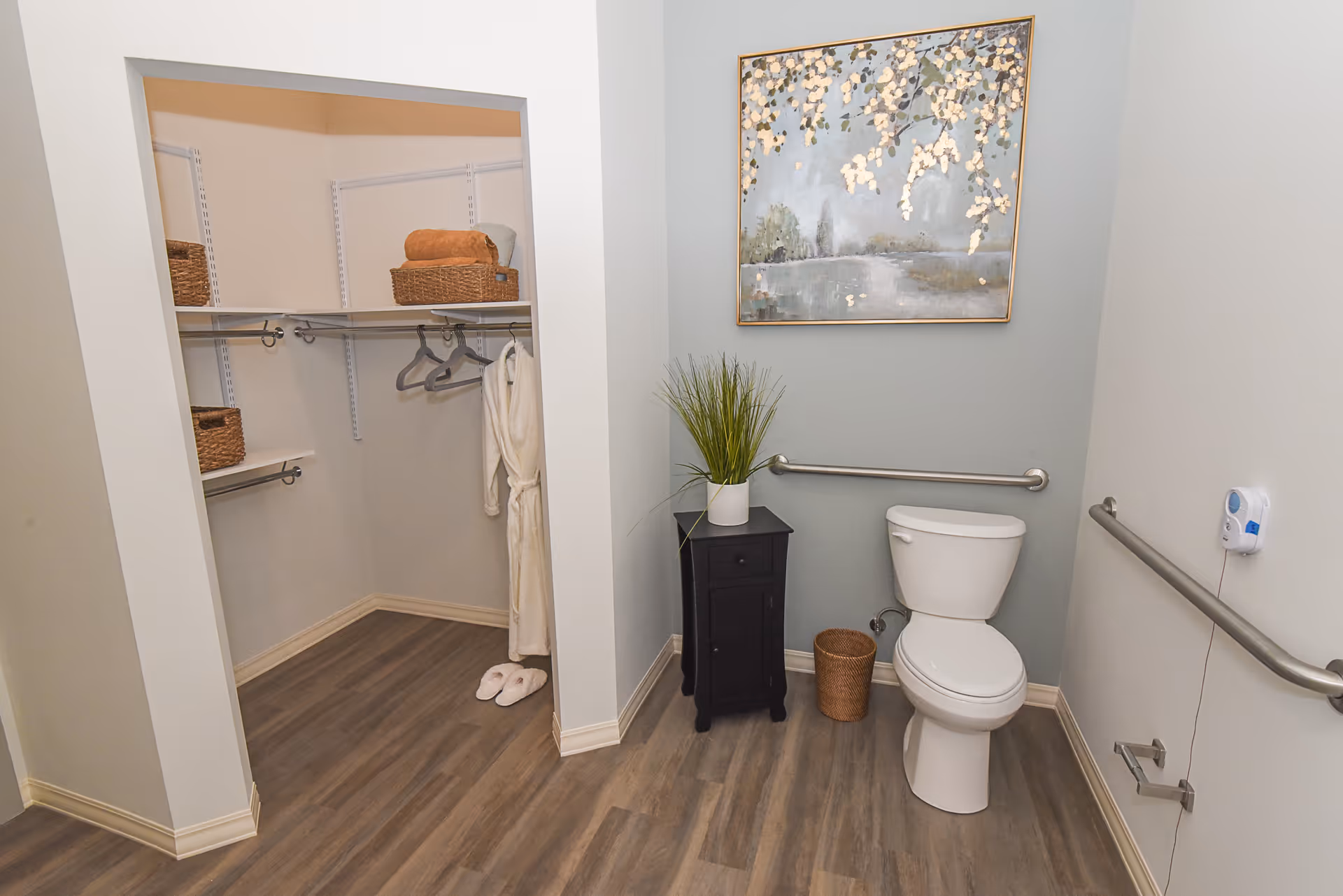 A bathroom with a white toilet, grab bars on the walls, a small black cabinet with a potted plant, a wastebasket, and a framed painting above the toilet. To the left, there is an open walk-in closet with shelves, hanging rods, baskets, a bathrobe, and slippers on the floor. The room has wood-look flooring and light-colored walls.