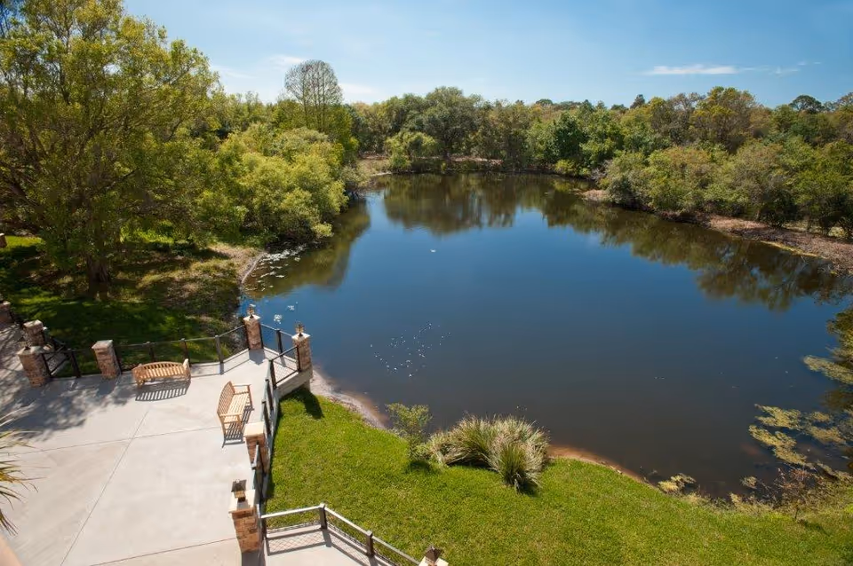 Photo 8 of The Preserve at Dunedin