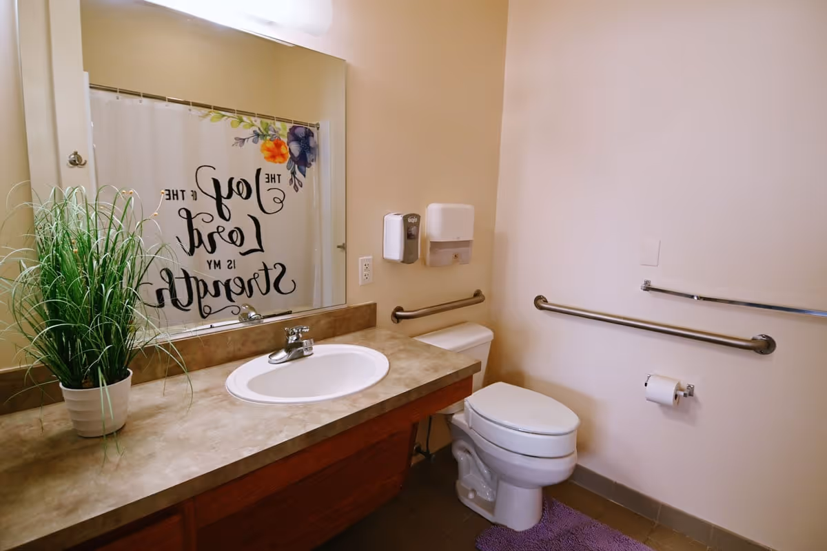 Accessible bathroom with a sink and countertop, mirror, toilet with grab bars, and a potted plant.