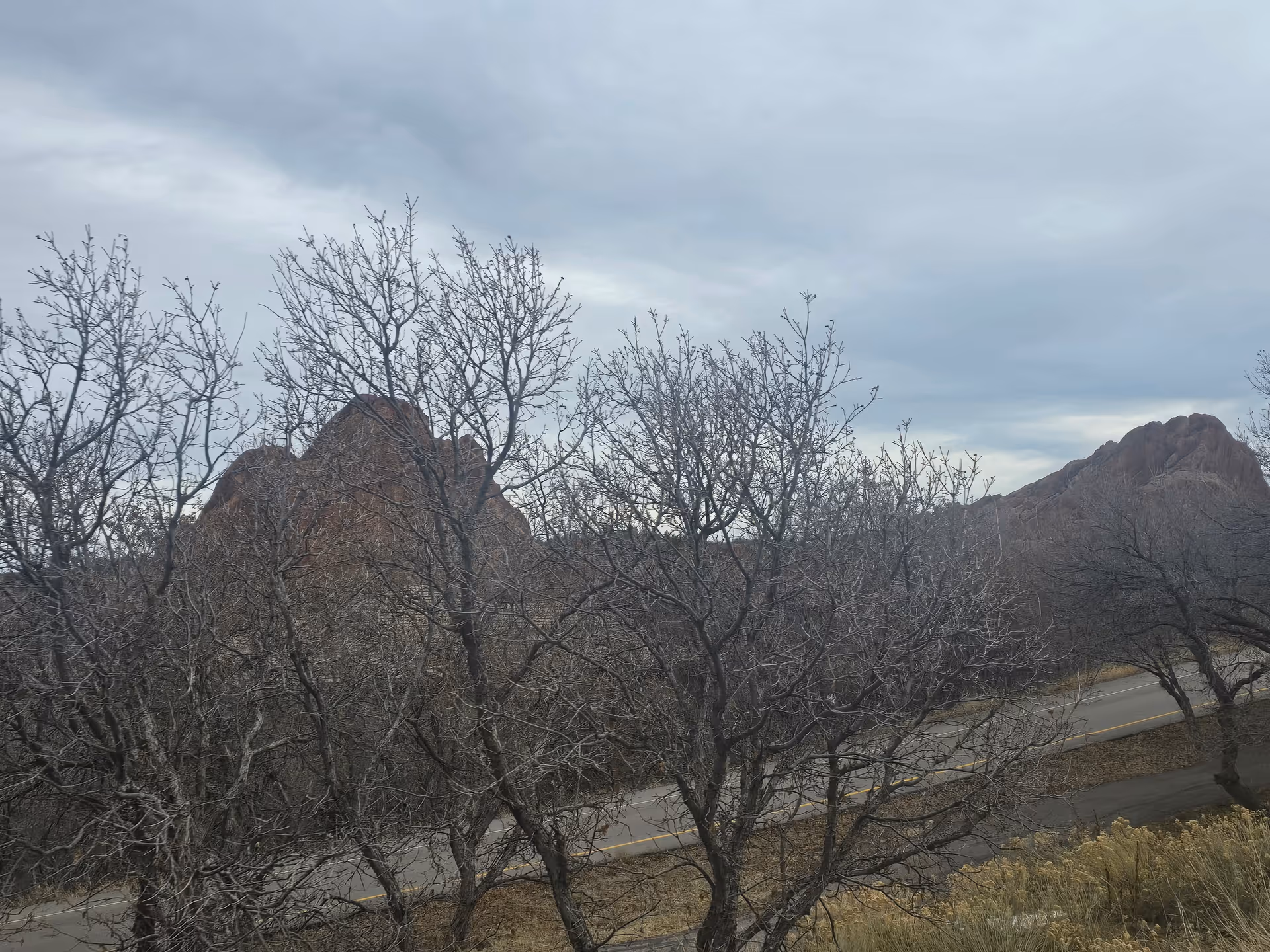 A cloudy sky over a landscape with leafless trees in the foreground, a road running through the middle, and rocky hills or mountains in the background.