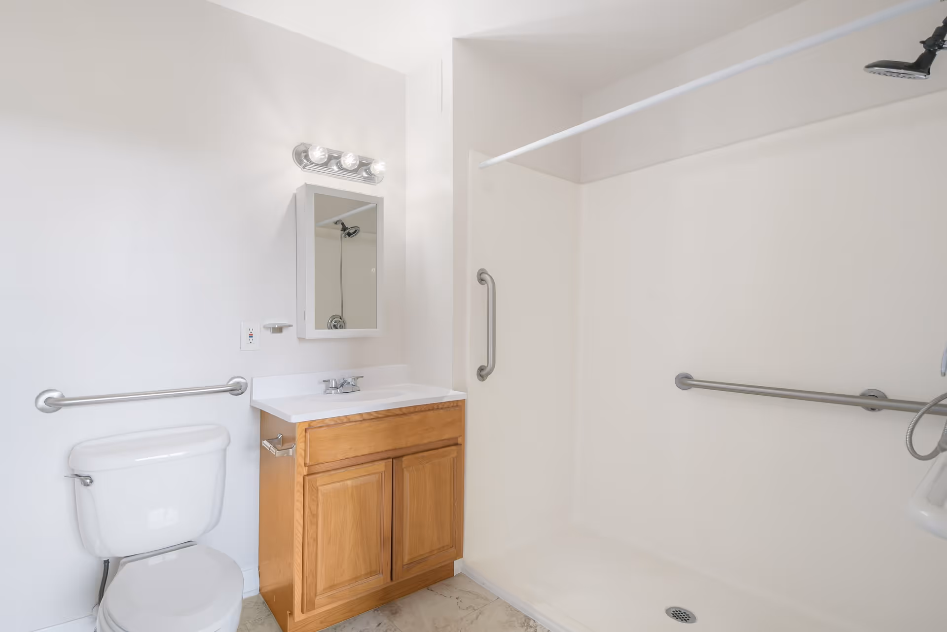 Bright accessible bathroom with a toilet, wooden vanity and sink, wall mirror, and an open shower with grab bars.