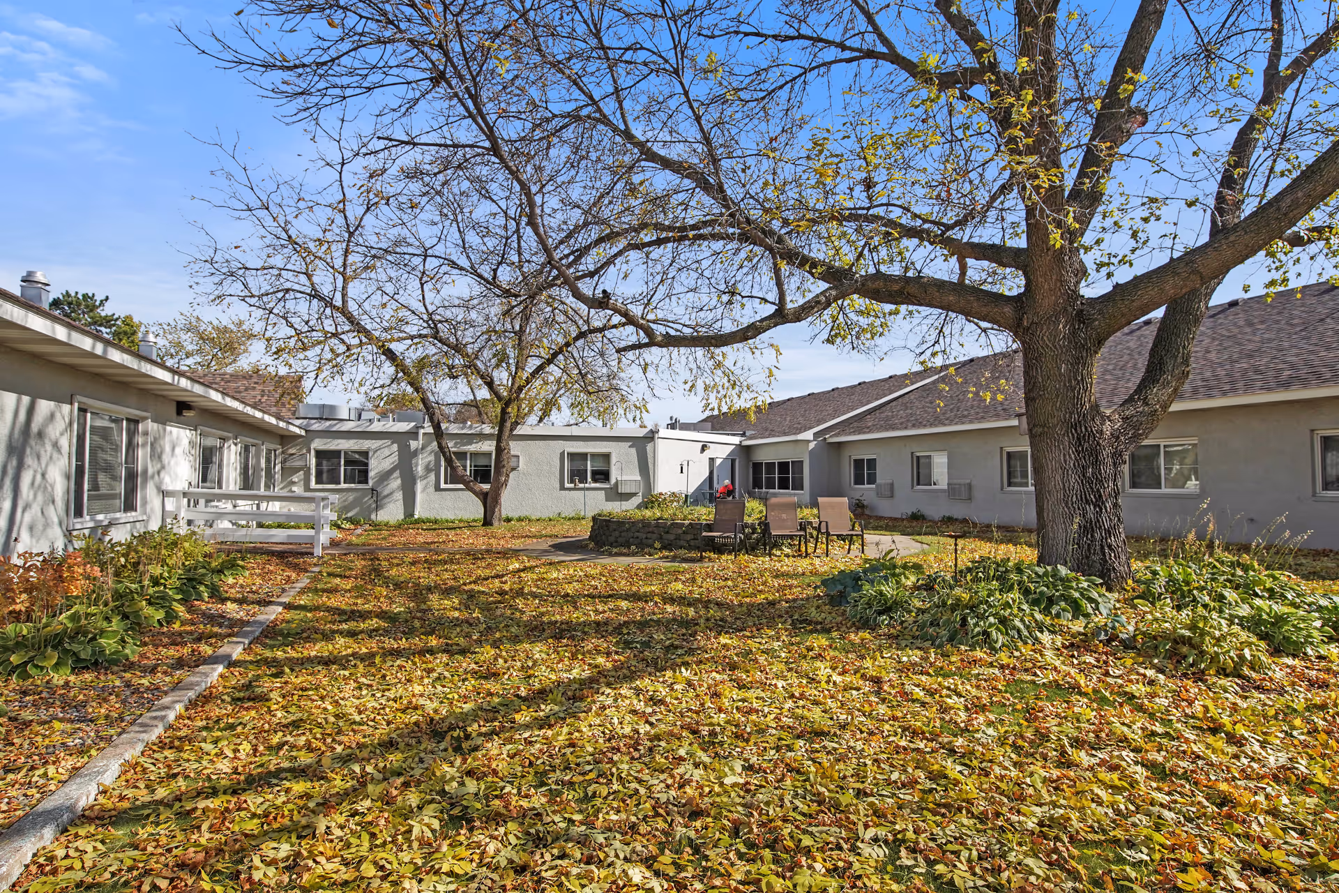 Outdoor courtyard area at Osseo Gardens Assisted Living with fallen autumn leaves covering the ground, a large tree with some remaining yellow leaves, patio chairs arranged around a small circular stone fire pit, and single-story building walls with windows surrounding the courtyard.