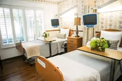 A bright and clean patient room with two hospital beds, each equipped with a bedside table and a mounted television. The room features large windows with white shutters, floral wallpaper, and wooden flooring. There is a lamp on the bedside table and a flower arrangement on one of the tables.