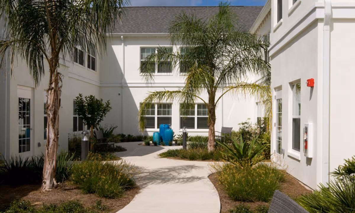 Outdoor courtyard area at The Harrison of Wildwood featuring a curved concrete pathway, palm trees, green shrubs, and blue decorative pots against a white two-story building under a clear blue sky.