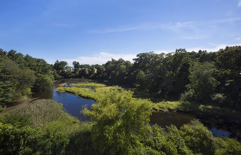 A scenic outdoor view of a river winding through a lush green landscape with trees and bushes under a clear blue sky.
