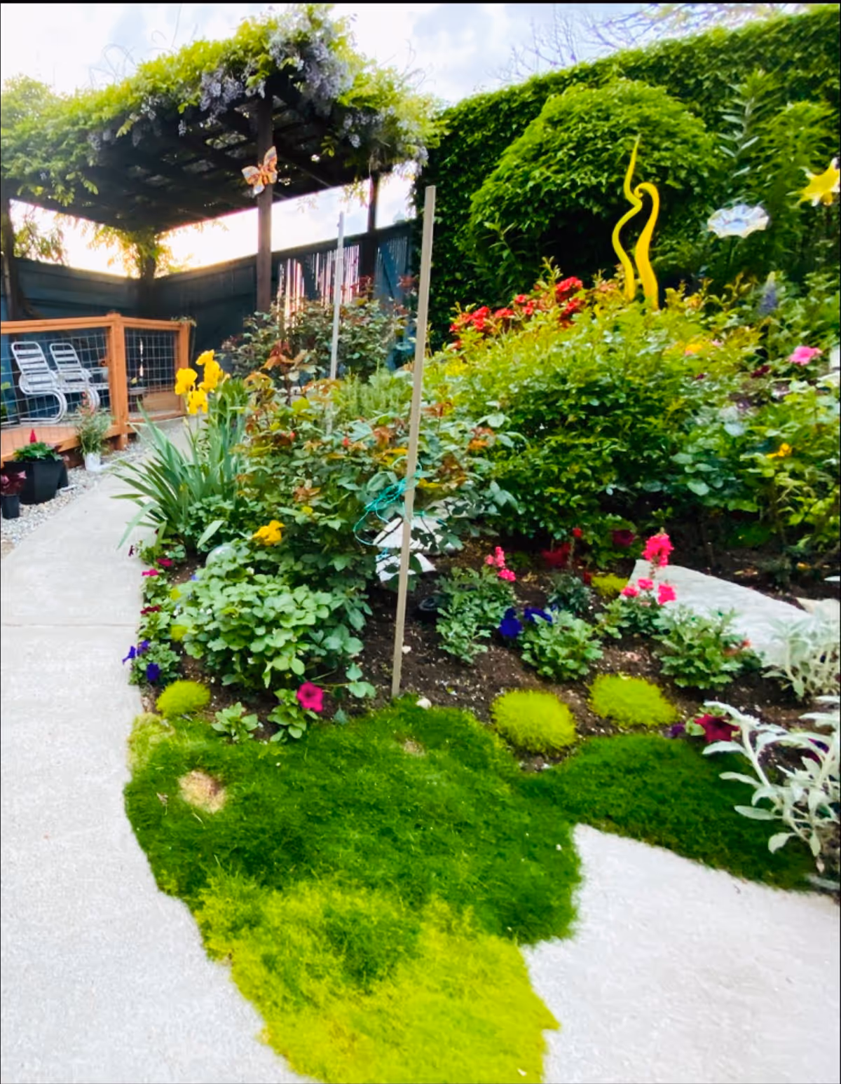 A vibrant garden area with various colorful flowers and green plants along a concrete pathway. There is a wooden pergola covered with greenery and a butterfly decoration hanging from it. In the background, there are two white chairs on a wooden deck surrounded by a fence.