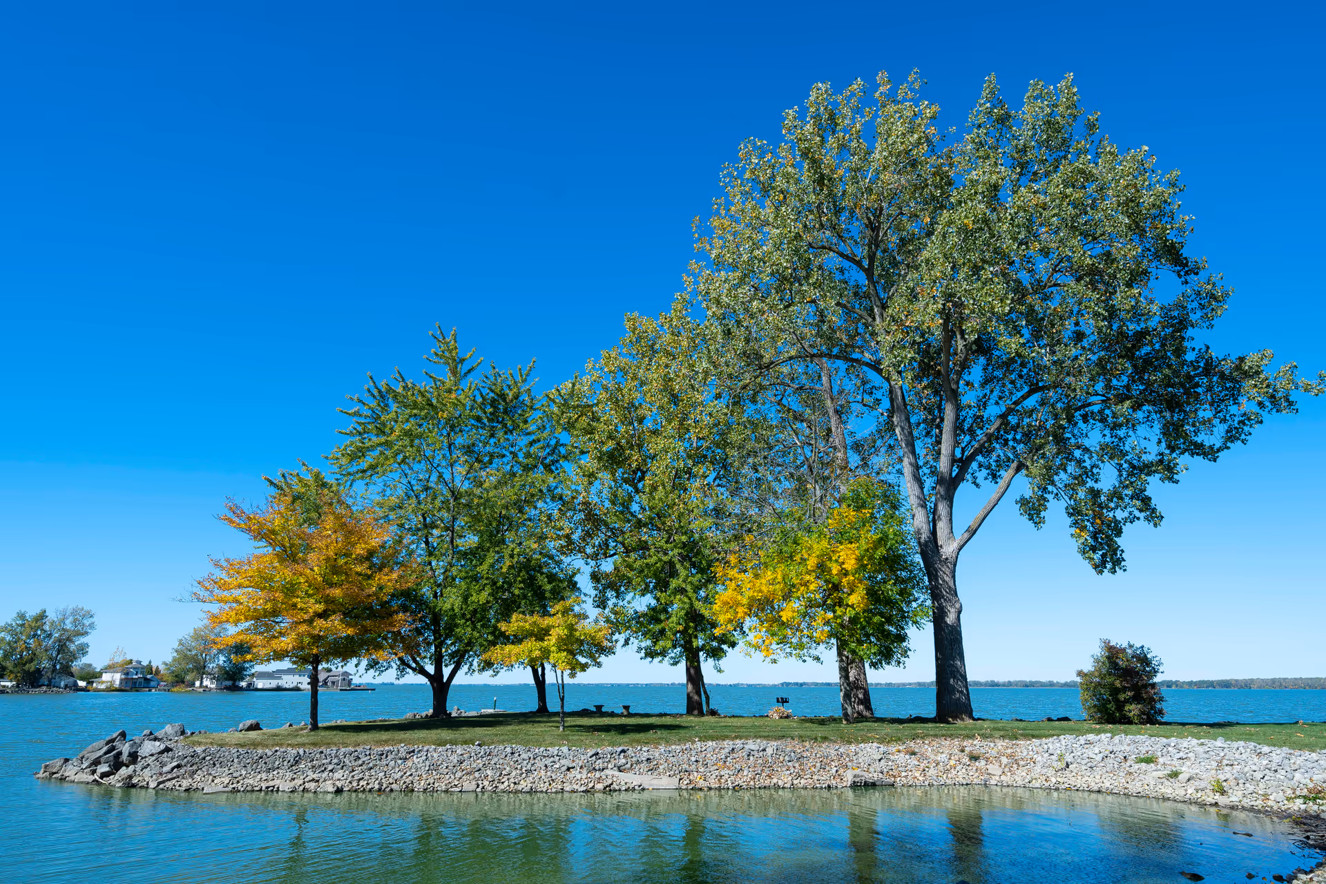 A small grassy island with several trees of varying sizes and colors, surrounded by calm blue water under a clear blue sky.