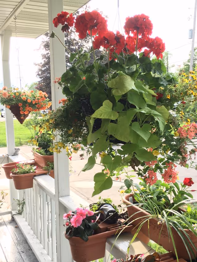 A porch area with multiple hanging and potted flowering plants including red, pink, and orange flowers. The porch has white railings and posts, and a sidewalk and green lawn are visible in the background.