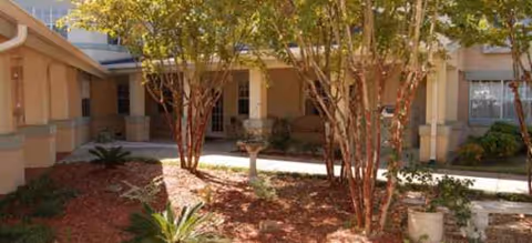 Exterior view of Brookdale Dowlen Oaks building with trees and a walkway.