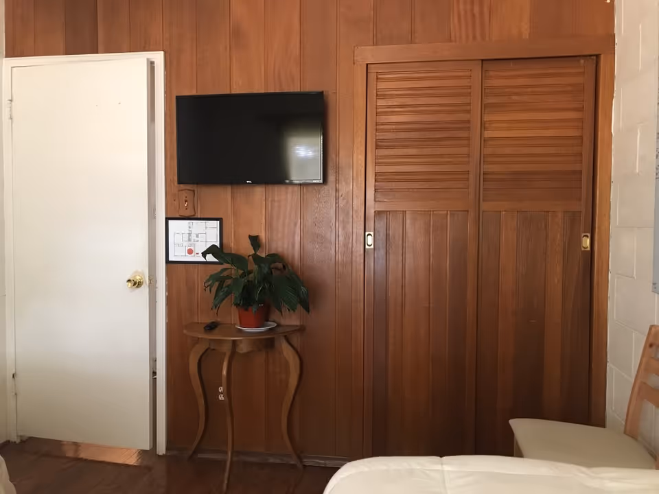 Interior view of a room with wood-paneled walls, a mounted flat-screen TV, a small wooden table with a potted plant, a white door, a wooden closet with sliding doors, and part of a bed and chair visible.