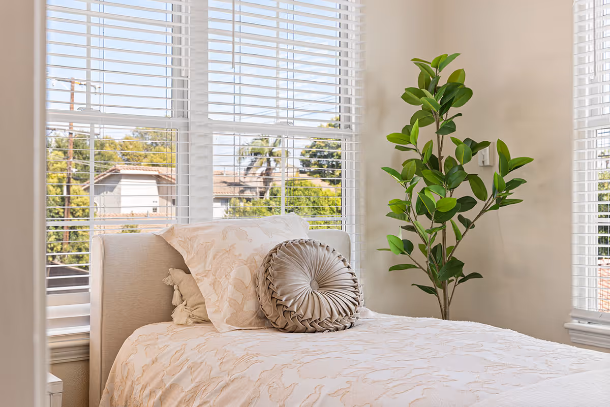 A neatly made bed with a beige patterned bedspread and two decorative pillows, positioned next to large windows with white blinds. A tall green potted plant is placed beside the bed, and outside the windows, trees and rooftops are visible.
