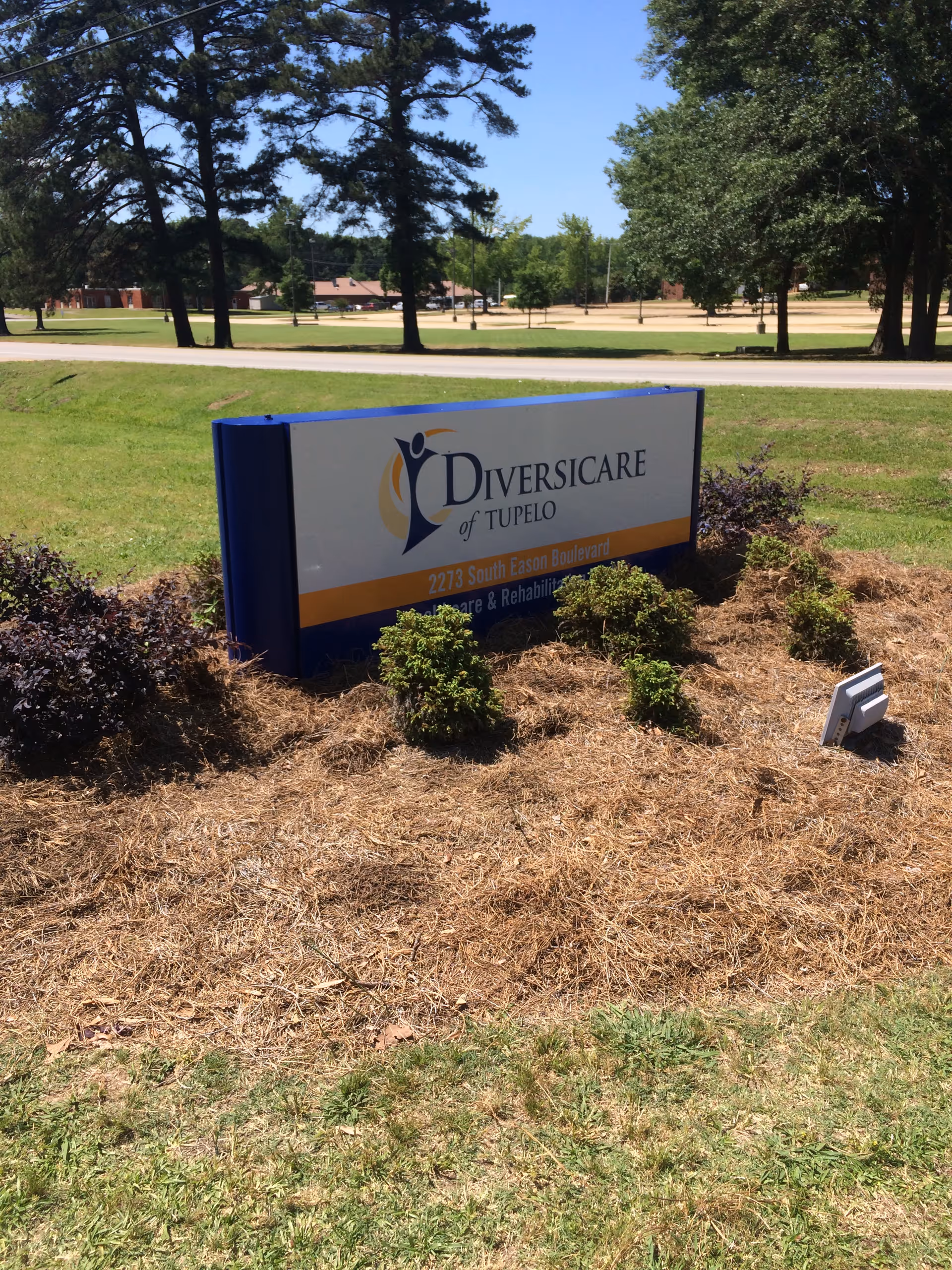 Outdoor view of a sign for Diversicare of Tupelo surrounded by small bushes and mulch, with trees and a road in the background under a clear blue sky.