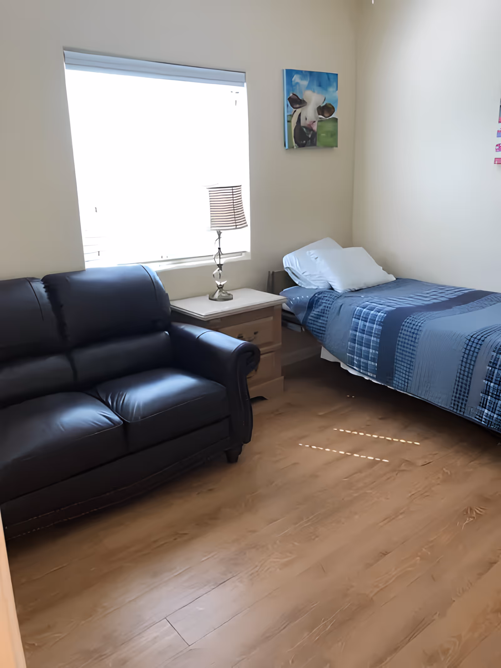 Photo 27 of Starfish Village Care Homes