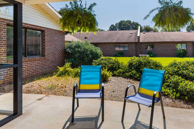 Two blue and yellow outdoor chairs on a concrete patio with hanging ferns above, surrounded by bushes and greenery, with brick buildings and a clear blue sky in the background.