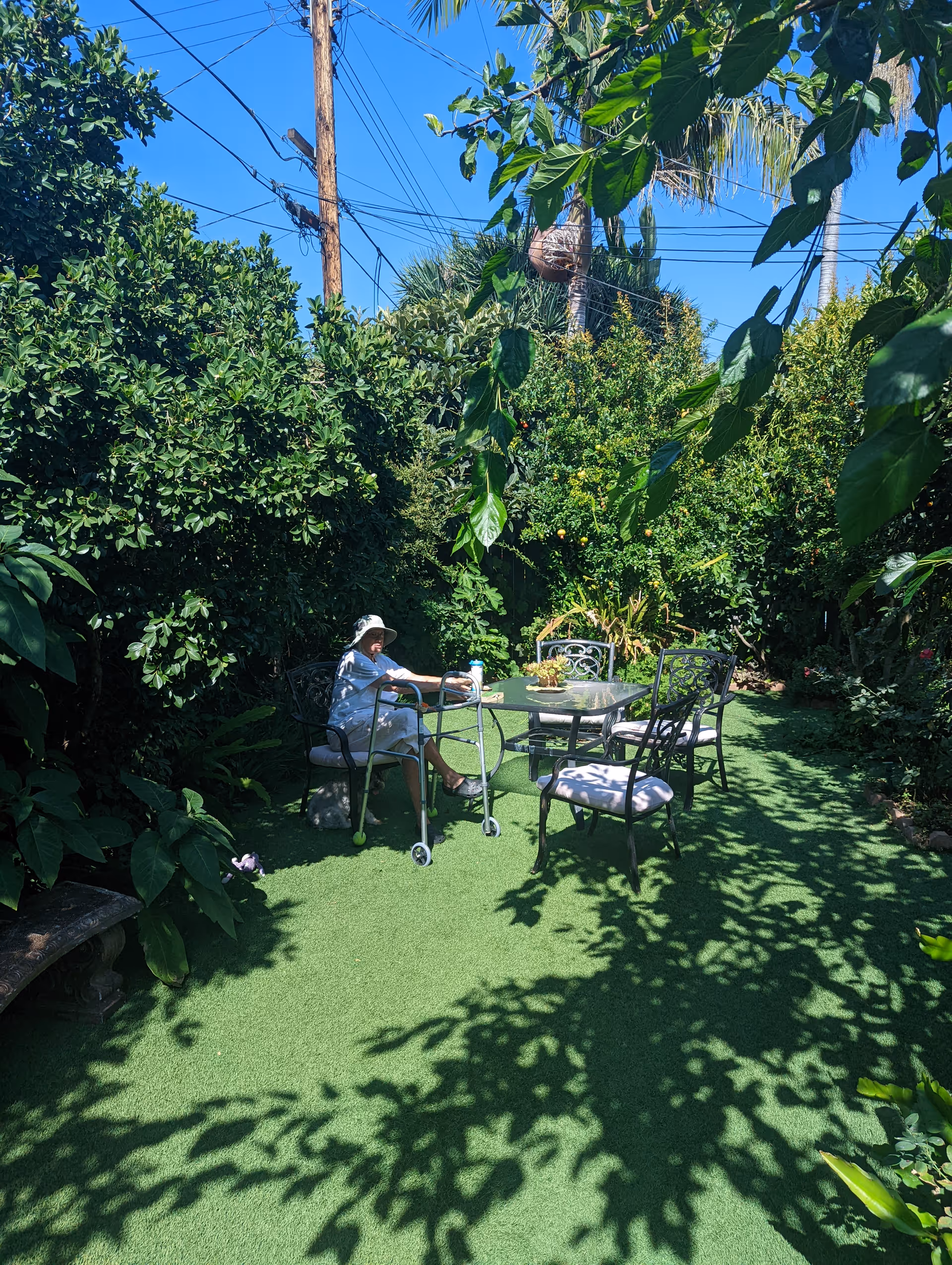 A sunlit backyard garden with a table and chairs where a person sits beside a walker, surrounded by dense shrubs and palm trees under a clear blue sky.
