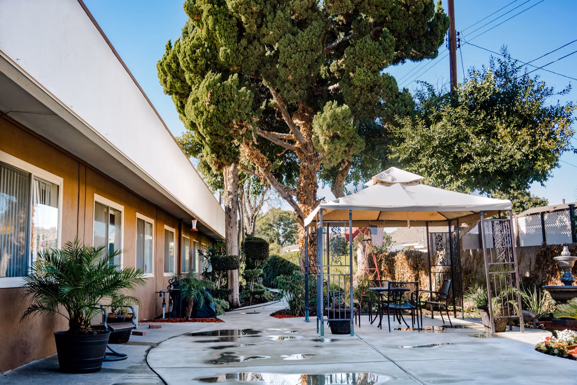 Outdoor patio area at Whittier Hills Healthcare Center featuring a concrete walkway, a white canopy with a table and chairs underneath, surrounded by trees, potted plants, and a brown building with windows on the left side.