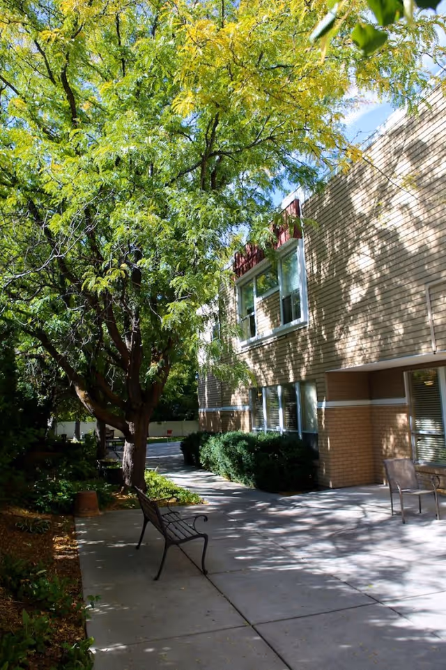 Outdoor patio area at Holladay Healthcare Center with a large tree providing shade, a metal bench on the concrete walkway, and a building with windows and bushes along the side.