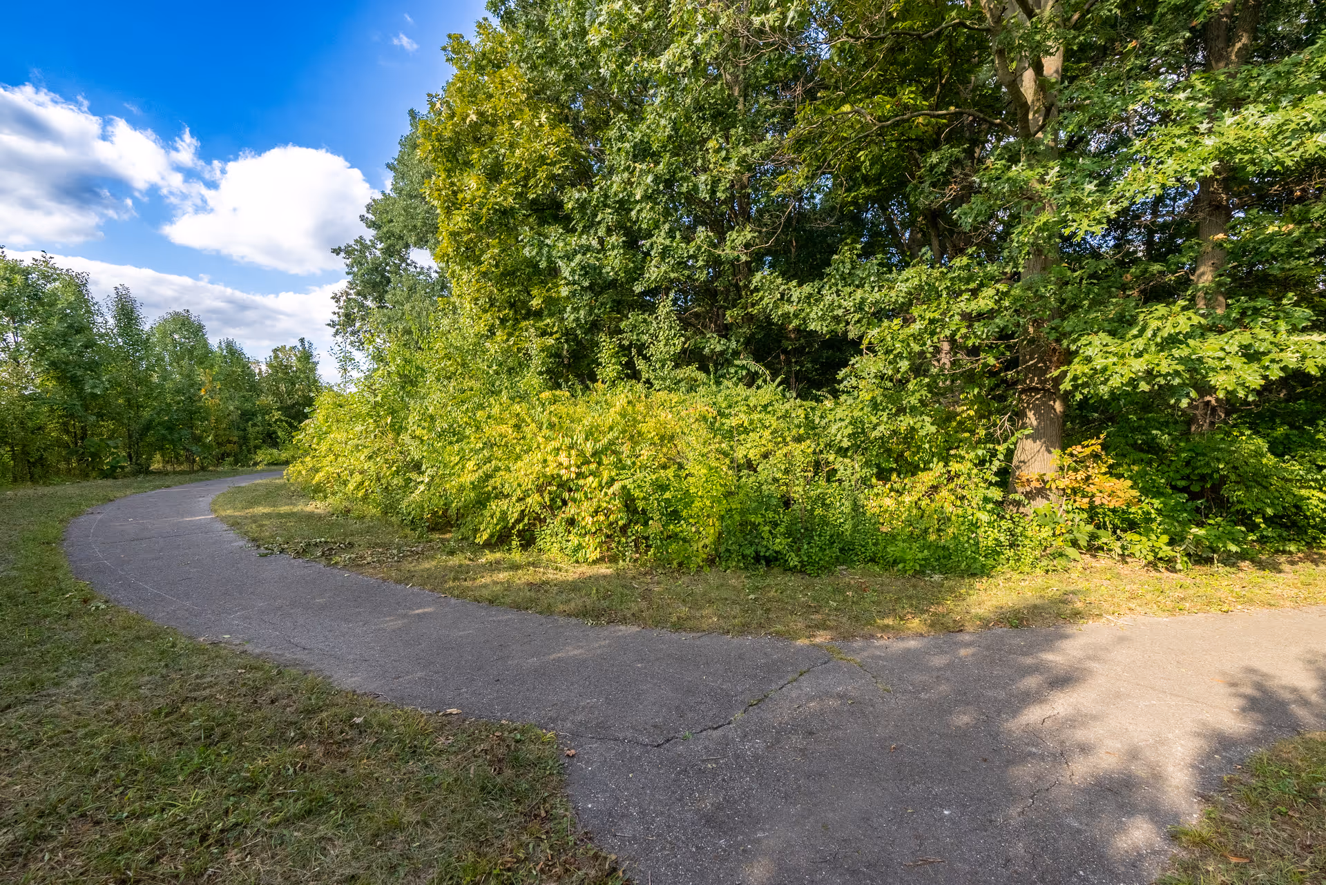 A paved walking path in a green outdoor area surrounded by dense trees and bushes under a partly cloudy blue sky.
