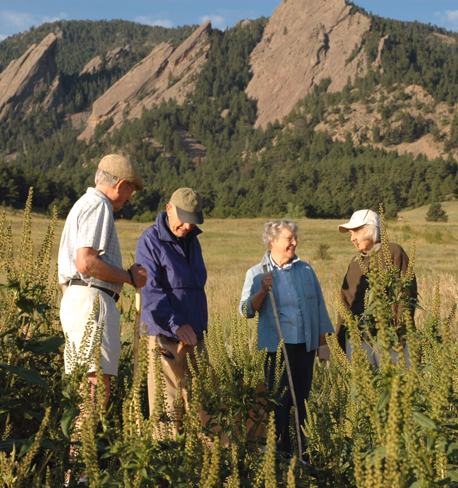 Four elderly people standing in a field with tall plants, with mountains and trees in the background. Two men and two women are engaged in conversation, and one man is petting a dog.