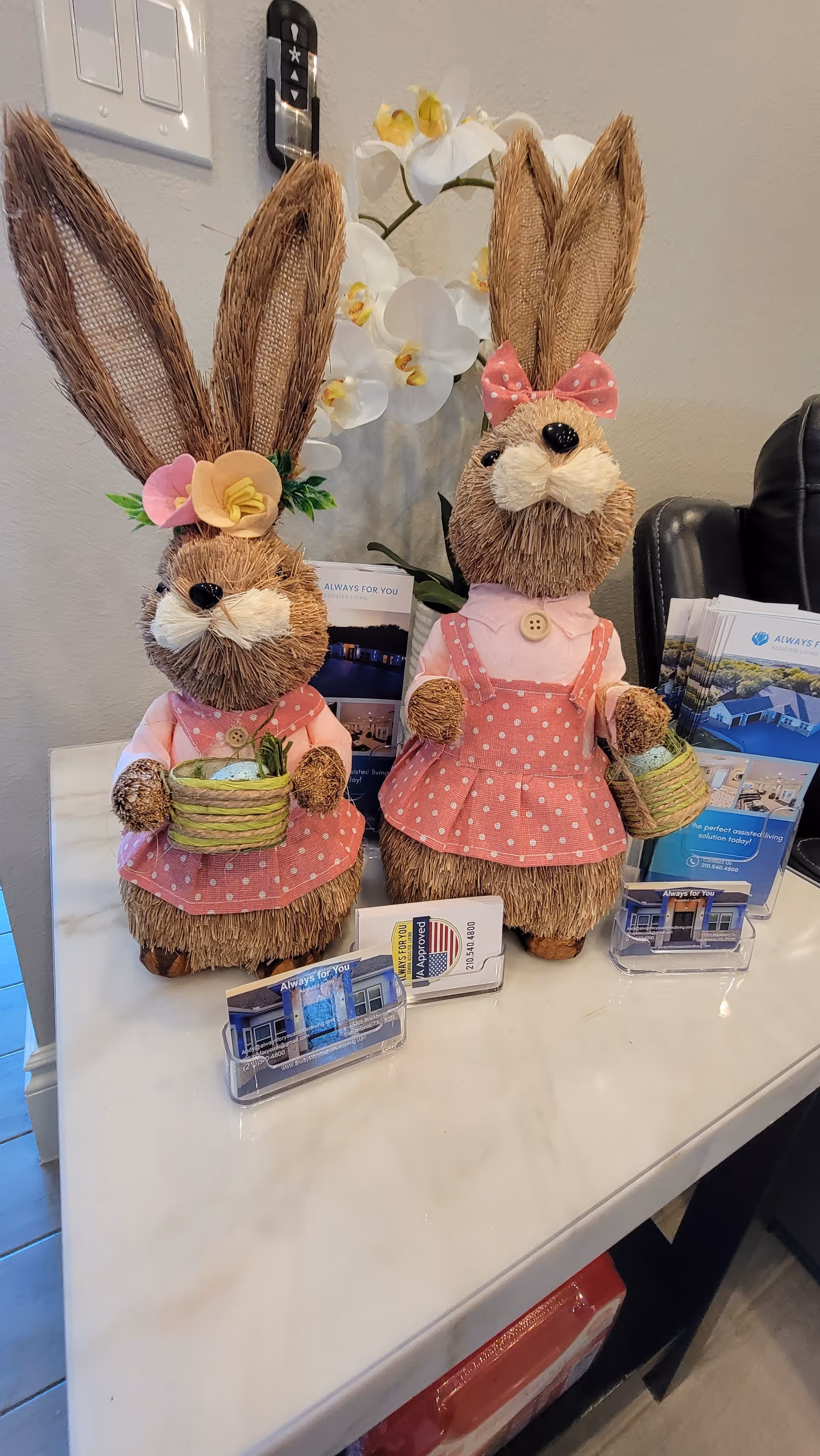 Two decorative bunny figurines dressed in pink polka dot dresses holding small baskets, placed on a white countertop. Behind them are brochures and business cards for Always For You assisted living facility, along with a white orchid plant in the background.